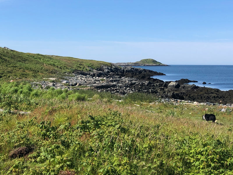 Maine Island Days