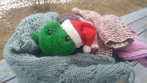 Frog-a-long Phase 1: Begin