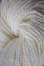 Load image into Gallery viewer, Regal 2-Ply DK 100% Wool Yarn