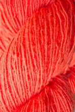 Load image into Gallery viewer, Sport Single Ply 100% Wool Yarn