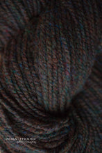 Load image into Gallery viewer, Regal 2-Ply DK 100% Wool Yarn