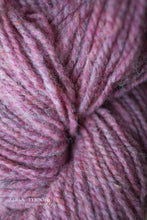 Load image into Gallery viewer, Regal 2-Ply DK 100% Wool Yarn