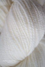 Load image into Gallery viewer, Regal 2-Ply DK 100% Wool Yarn