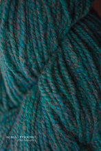 Load image into Gallery viewer, Regal 2-Ply DK 100% Wool Yarn