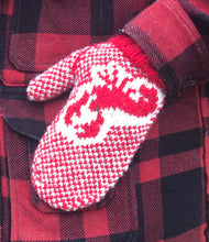 Load image into Gallery viewer, Lobster Mitt Pattern - Digital Download Only