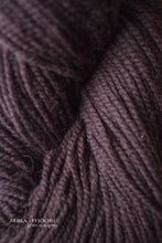 Load image into Gallery viewer, Regal 2-Ply DK 100% Wool Yarn