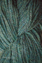 Load image into Gallery viewer, Regal 2-Ply DK 100% Wool Yarn