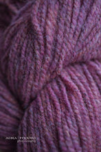 Load image into Gallery viewer, Regal 2-Ply DK 100% Wool Yarn