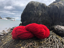 Load image into Gallery viewer, Regal 2-Ply DK 100% Wool Yarn